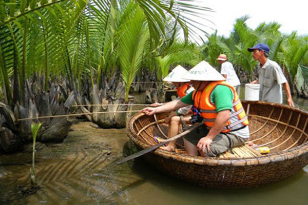 Bay-Mau-Coconut--Forest