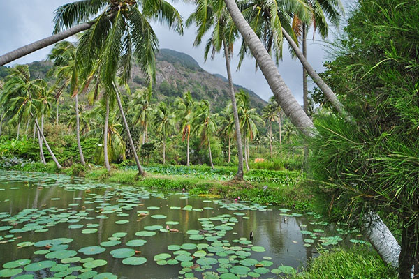 Con-Dao-National-Park