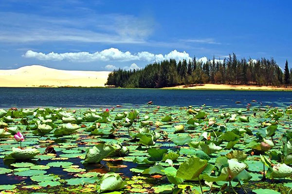 Lotus-Lake-Mui-Ne