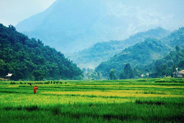 Mai-Chau