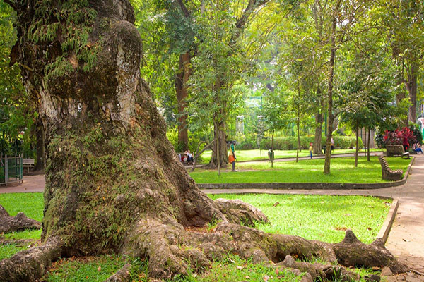 Saigon-Zoo-and-Botanical-Garden