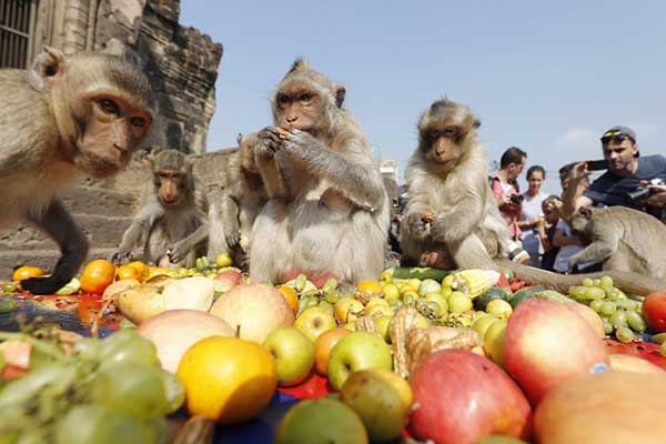 festivals in thailand