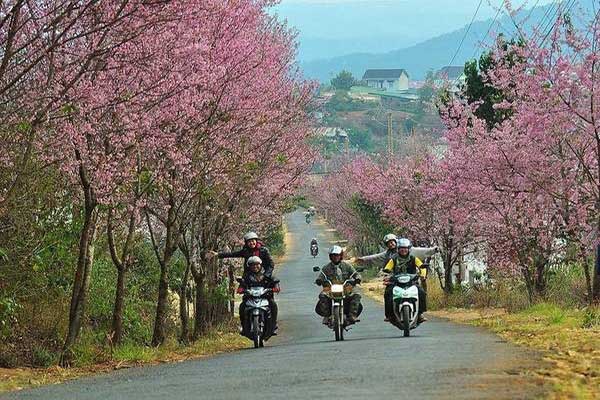 Motorbike Driving Places In The Central Of Vietnam