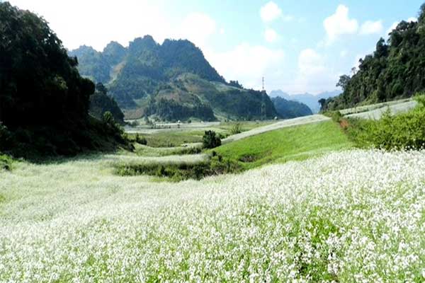 vietnam weather in november