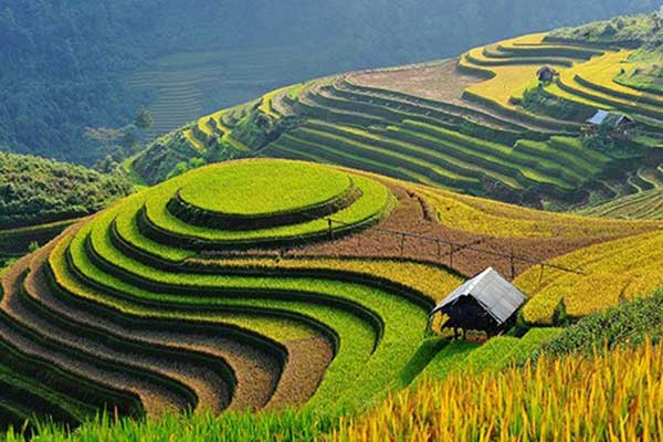 Vietnam Weather in September