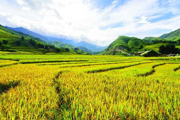 Vietnam Weather in September