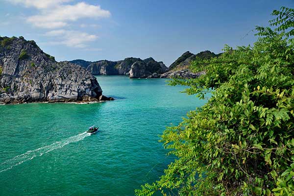 Visit Vietnam