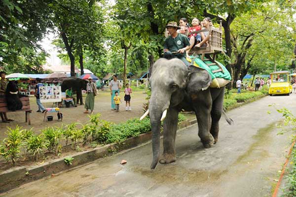 Yangon-Zoological-Garden