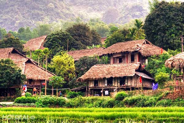 Mai Chau